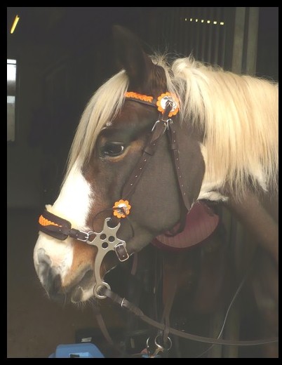 Tirelire Cheval En Métal Pour Bébé - My Tirelire